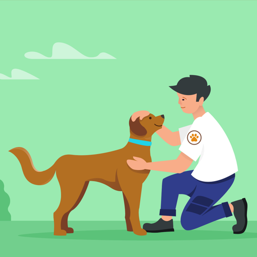 Help Strays: Your Donation Saves Lives!